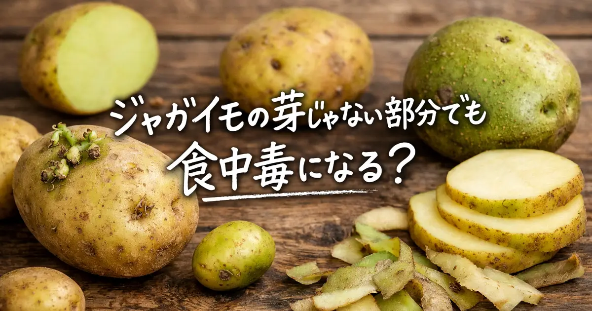 ジャガイモの芽以外の部分による食中毒リスクを表したアイキャッチ画像