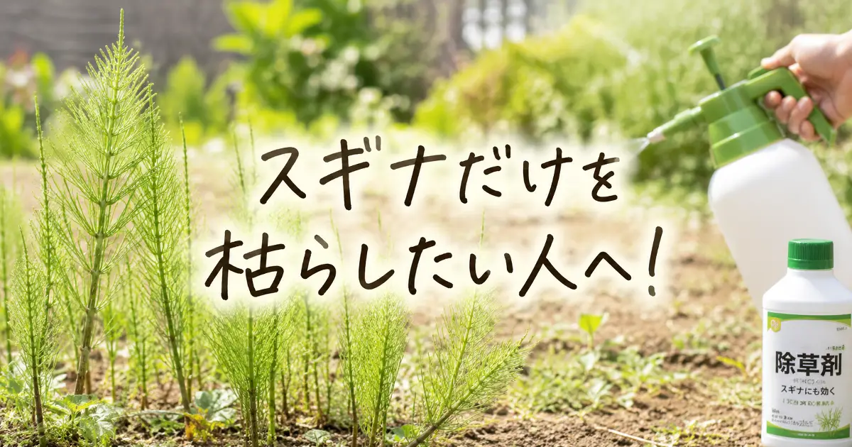 庭のスギナに除草剤を散布する様子と「スギナだけを枯らしたい人へ！」の手書き風文字が入ったアイキャッチ画像