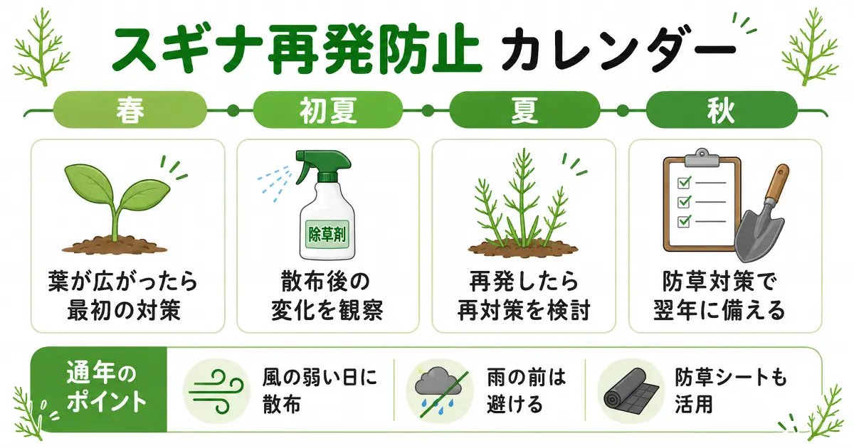 春は葉が広がったら対策、初夏は散布後の観察、夏は再発時の再対策、秋は防草対策で翌年に備える流れを示したスギナ再発防止カレンダー画像